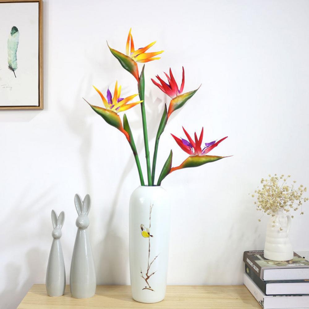 1 шт., 80 см, цветок, птица ра – обзор и цена Bird Paradise Strelitzia