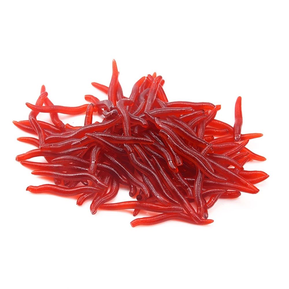 100 шт./бутылка, реалистичные  – обзор и цена Aglaonema Red