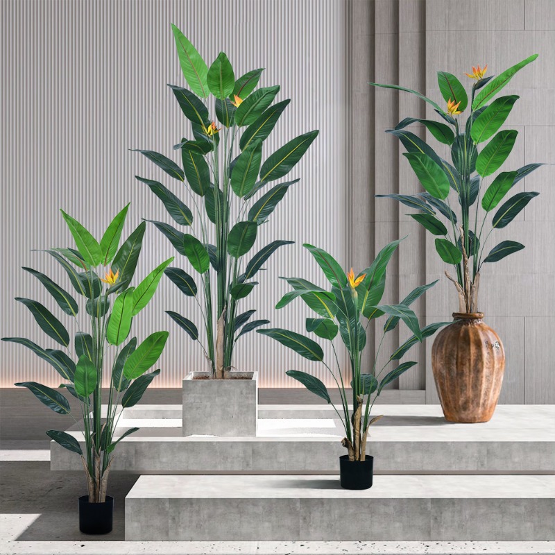 Реалистичное крупное искусстве – обзор и цена Bird Paradise Strelitzia