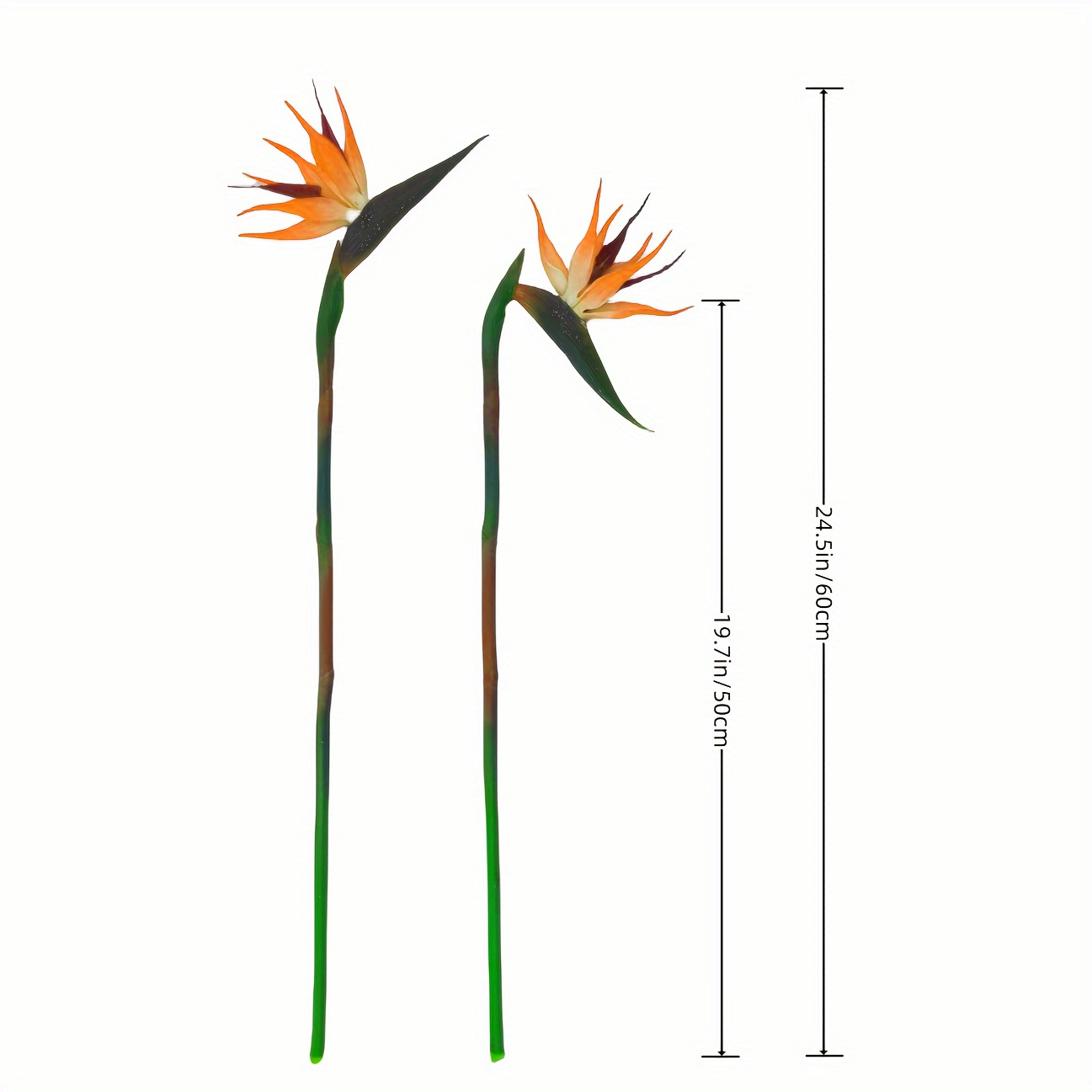 Искусственная птица рая, 3 шт. – обзор и цена Bird Paradise Strelitzia
